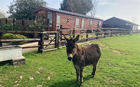 Rew Farm Country And Equestrian Accommodation - Sunset Lodge